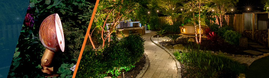 Landscape scene at night with FX RL lights